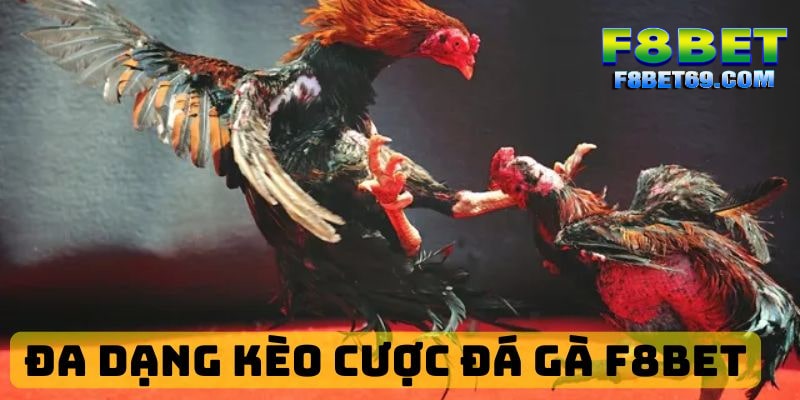 Đa dạng kèo cá cược đá gà tại F8BET