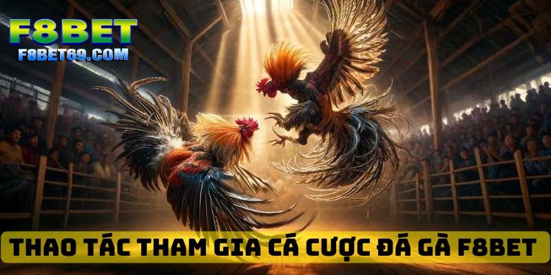 Tổng hợp các chương trình khuyến mãi hấp dẫn tại đá gà F8BET